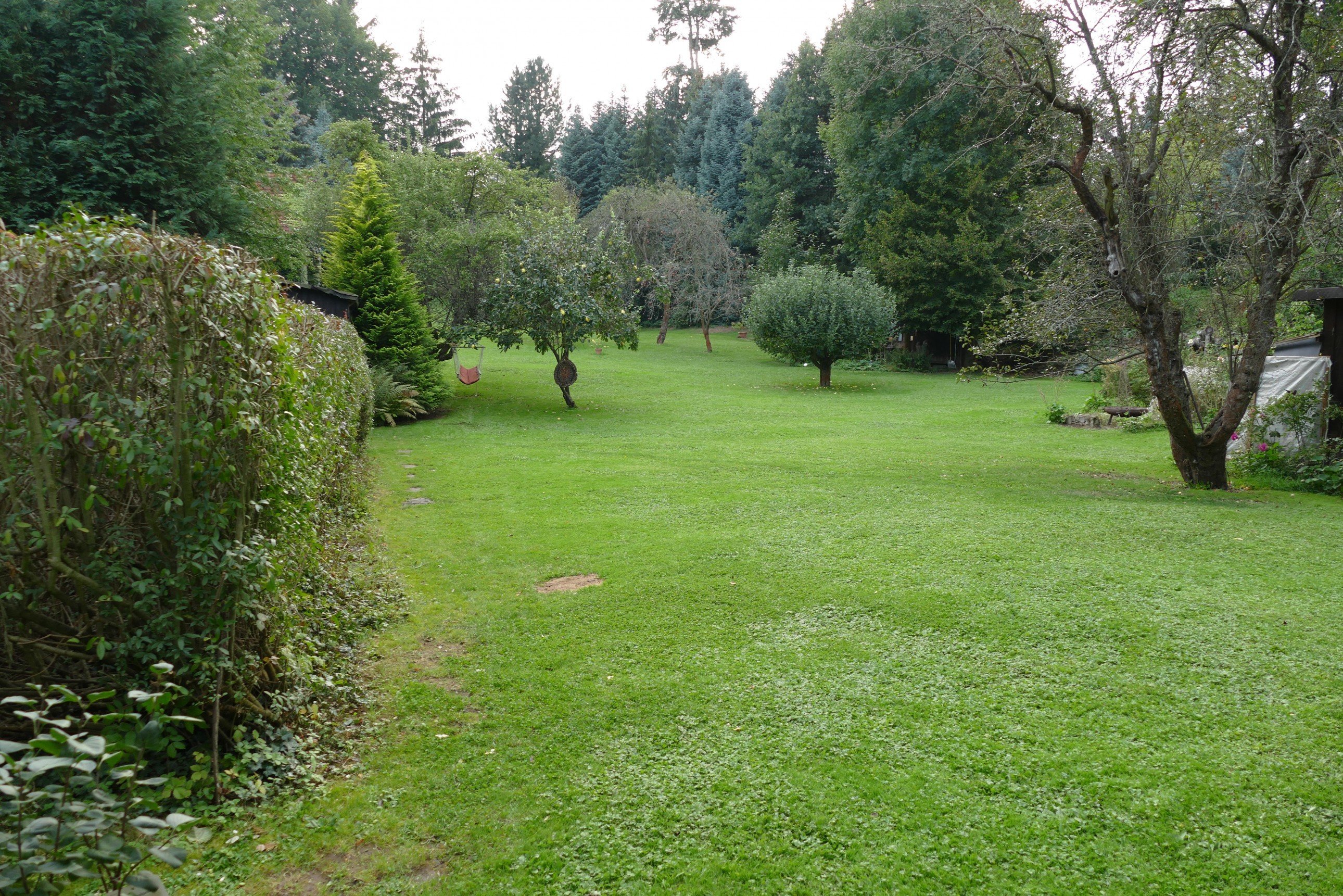 Foto Baugrundstücke in Kreischa *Projektentwicklung