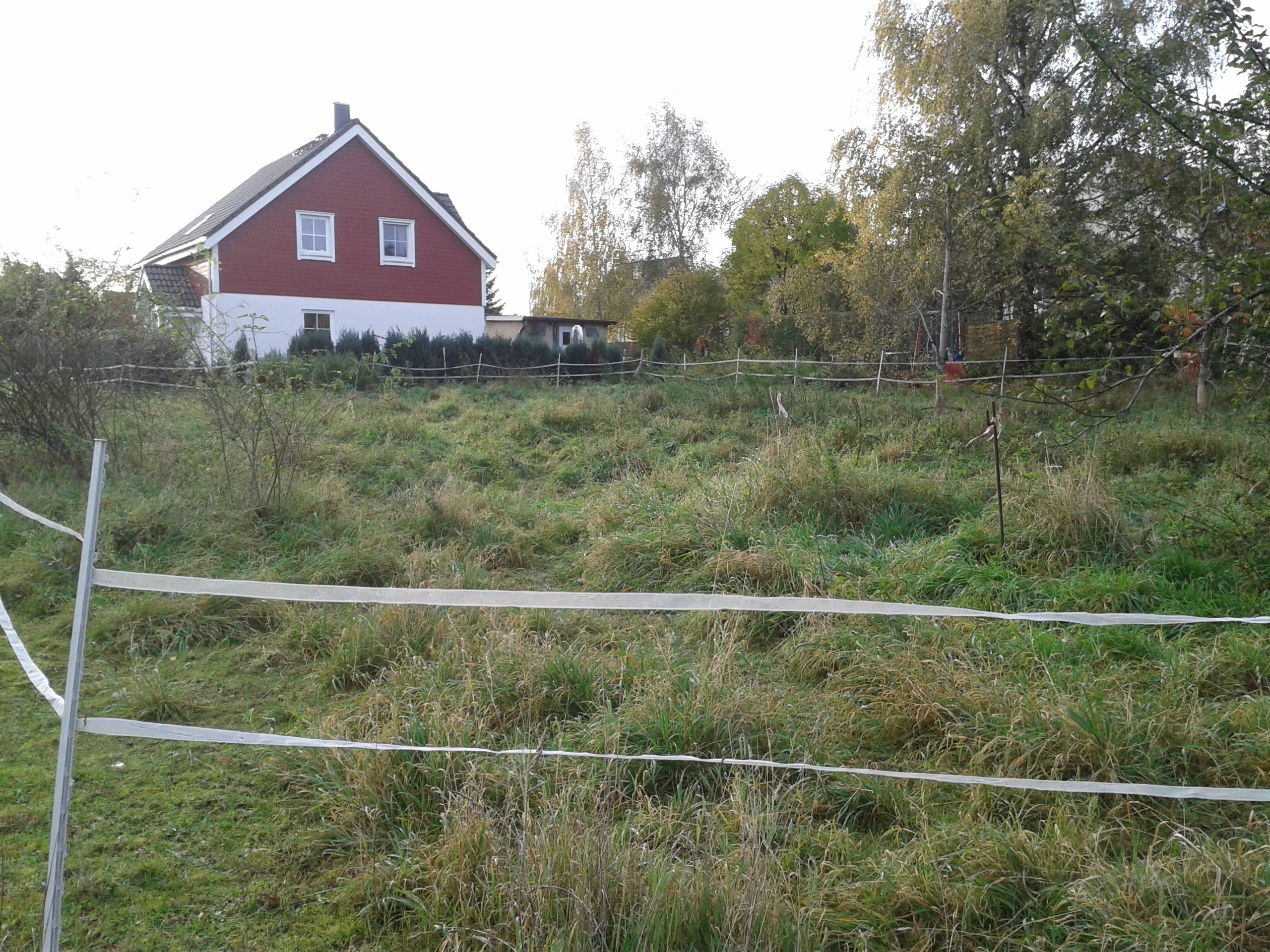 Foto Baugrundstück in ruhiger Lage von Borthen