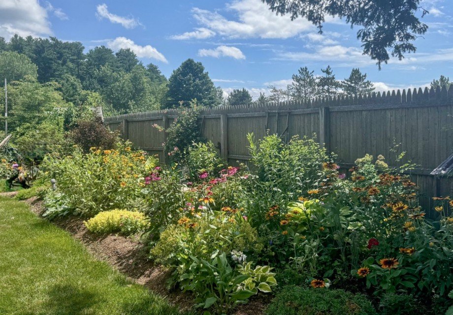 efh-pirna-garten-hinten-0625 Einfamilienhaus Pirna