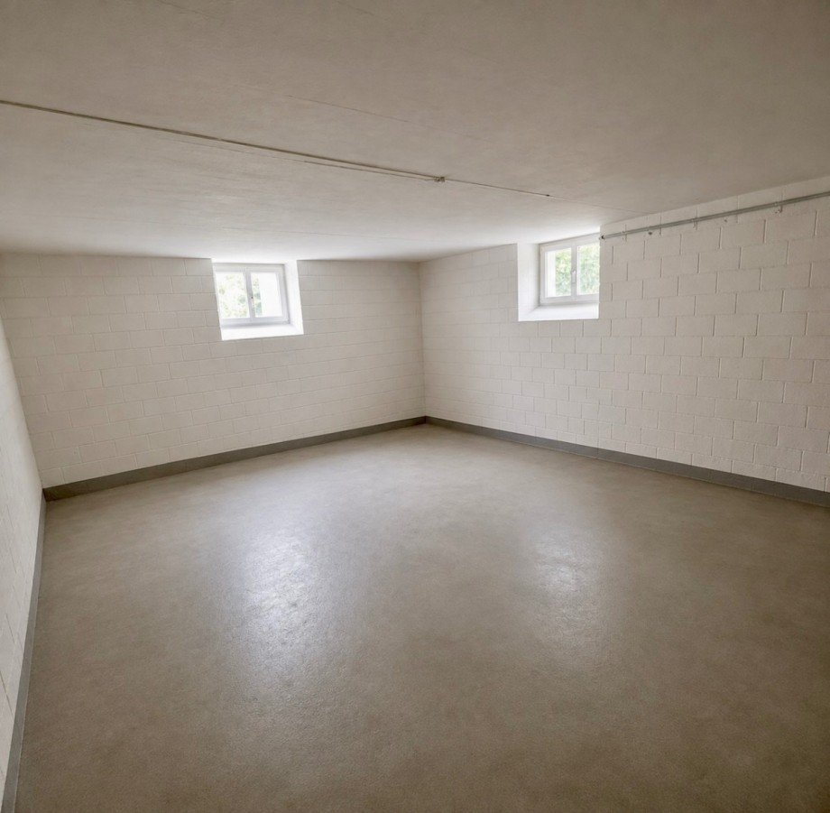 Keller KG1 - Visualisierung Villa Gohrisch