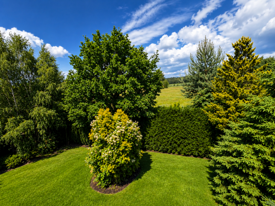Blick in den hinteren Garten Villa Gohrisch