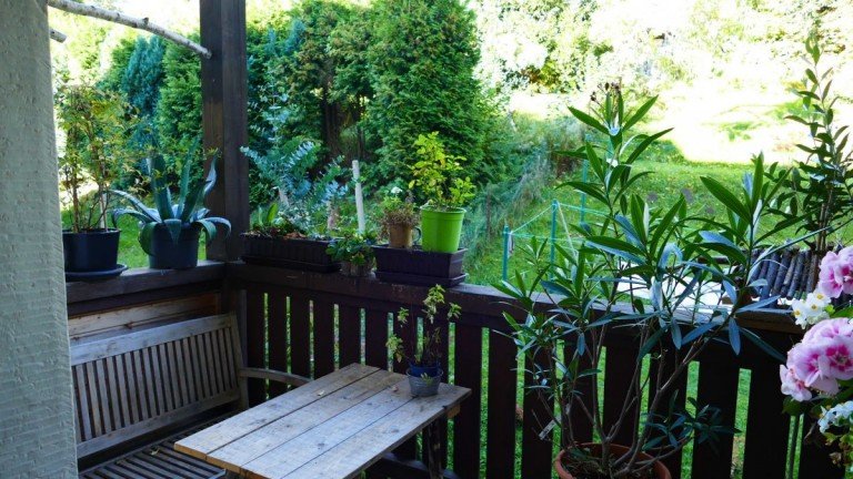 Balkon Sebnitz Etagenwohnung Gem�tliche 2 Zimmer Wohnung zu vermieten